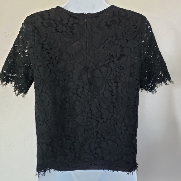 Ellison Women's Medium Black Lace Crop Top Blouse Short Sleeve Lined Shirt - Picture 5 of 8